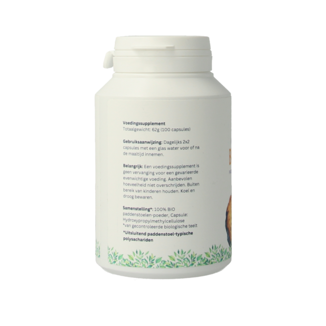 Mycopower Chaga Bio 100 Kapseln