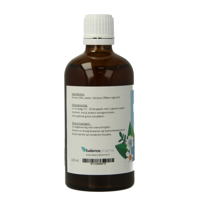 Balancepharma Ribes nigrum tincture 100 Millilitres