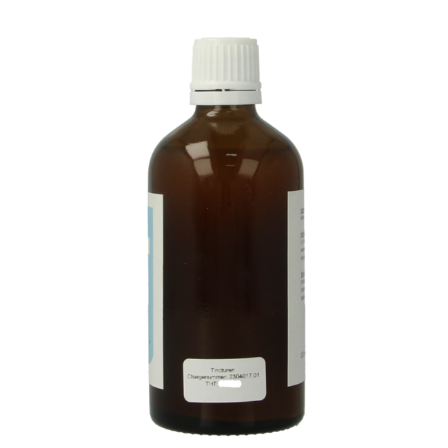 Mariendistel-Tinktur (Carduus Marianus) 100 Milliliter