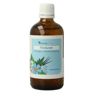 Balancepharma Nalewka Balancepharma Astragalus membranaceus 100 mililitrów