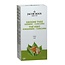 Té verde jengibre cúrcuma 20 bolsitas