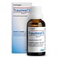Traumeel S 30 ml
