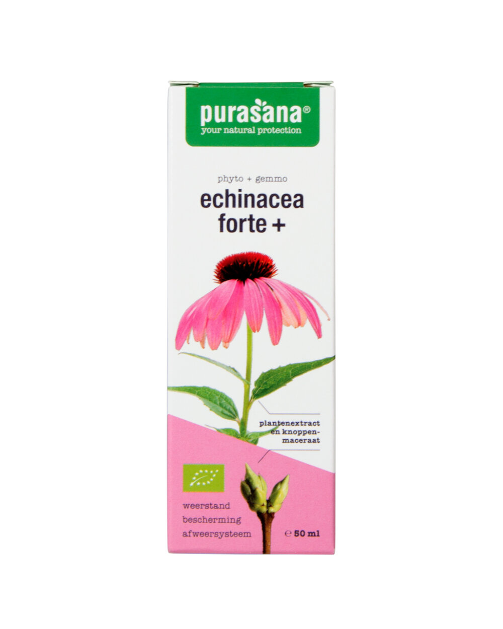 Purasana Echinacea forte+ vegan bio - Sostegno Immunitario