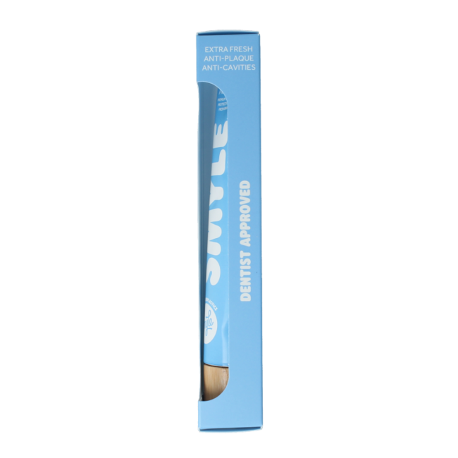 Toothpaste fresh mint tube 80 Millilitres