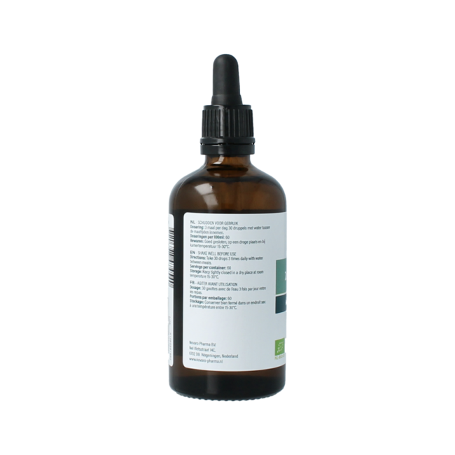 Blackcurrant - Ribes nigrum gemmae organic 100 Millilitres