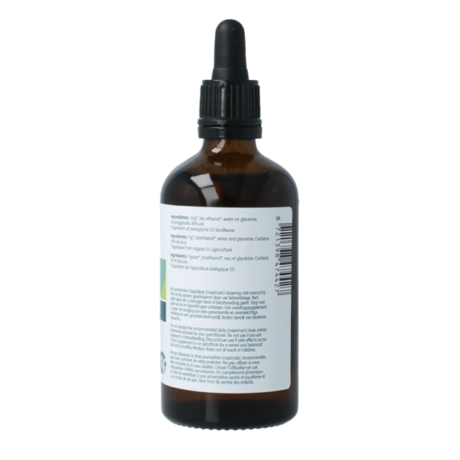 Figuier - Ficus carica gemmae bio 100 millilitres