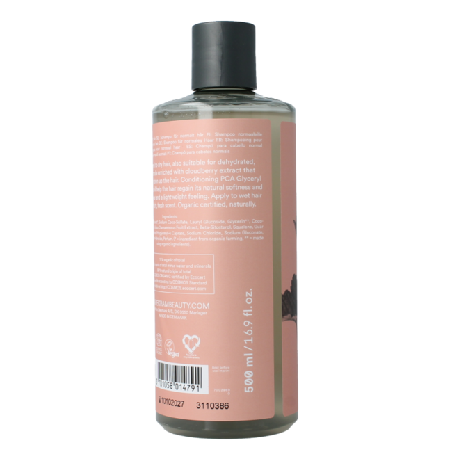 Shampoo Nordic Berry normales/trockenes Haar 500 Milliliter