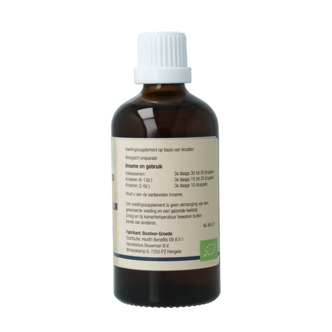 Ilex aquifolium organic 100 Millilitres
