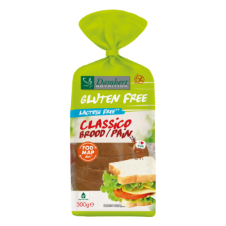 Damhert Damhert Classico brood glutenvrij 300 Gram