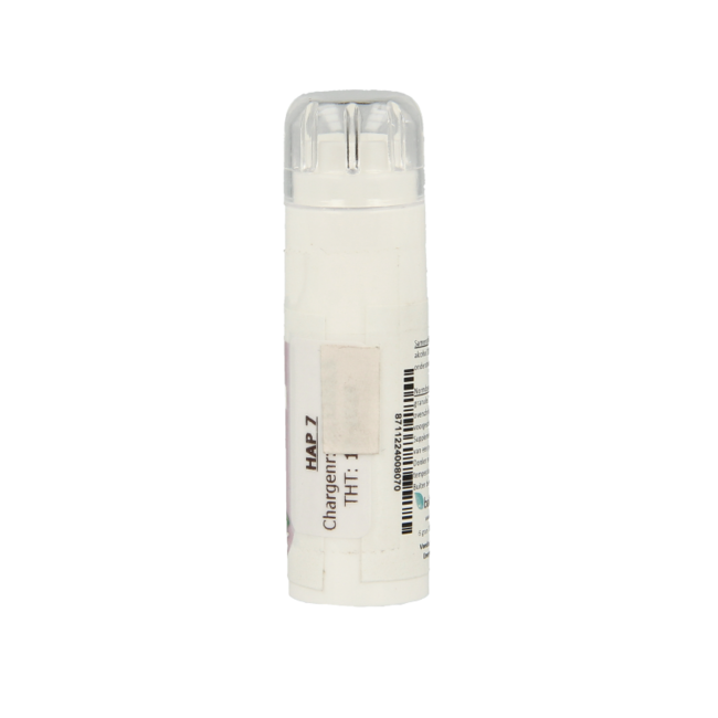 Balancepharma Pollen stof allergoplex 6 Gramos