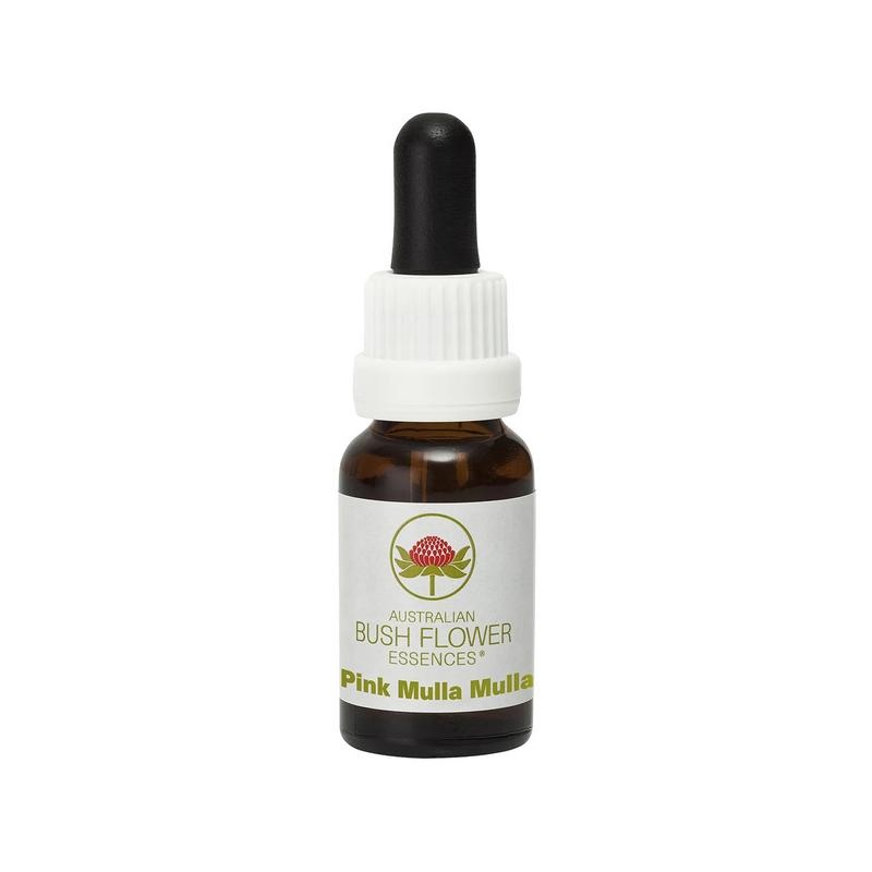 Australian Bush Pink mulla mulla 15 Milliliter