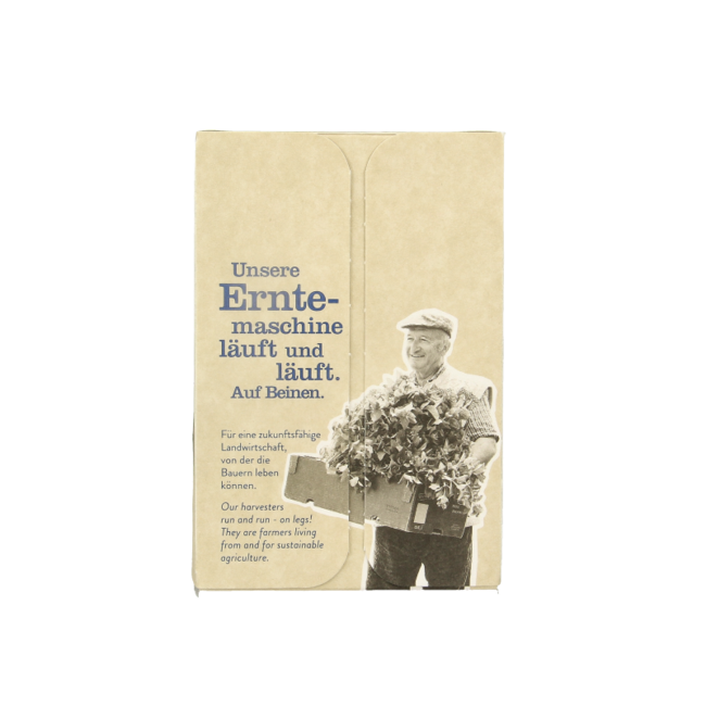 Sonnentor Bio-Pfefferminztee, 18 Beutel