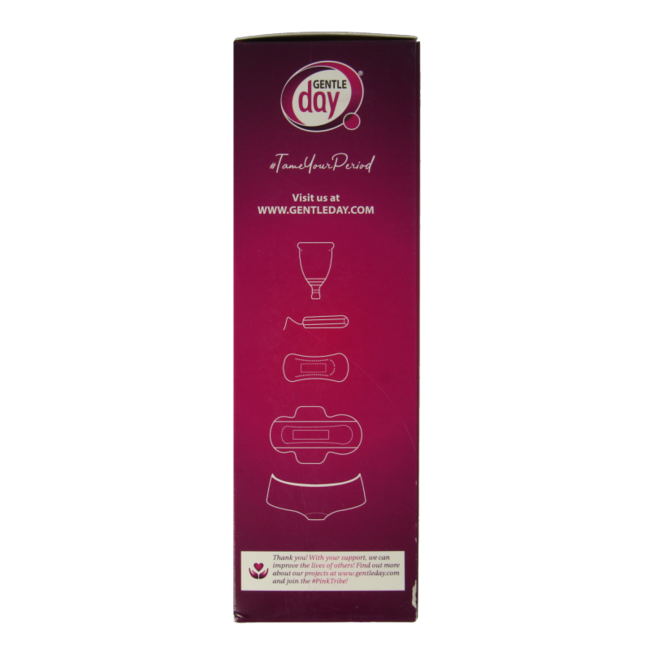 Gentle Day Intimate Wash Gel 250 Millilitres