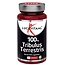100 % Tribulus Terrestris 60 Kapseln