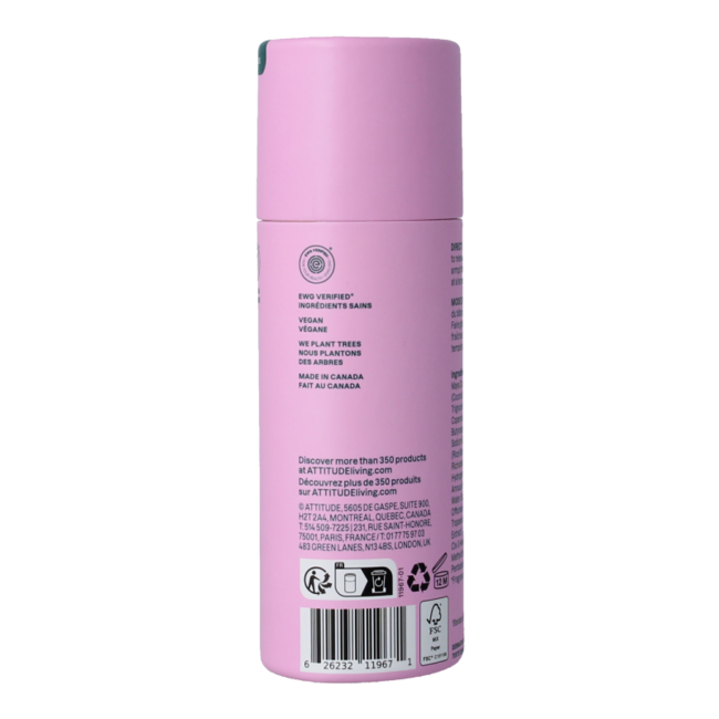 Deo Super Leaves Kokosnuss & Wilde Beeren 75 Gramm