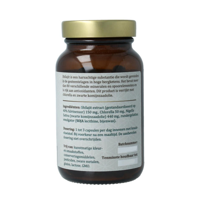 Shilajit 90 Capsule