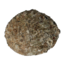 Alchemia Abalone shells 1 Piece