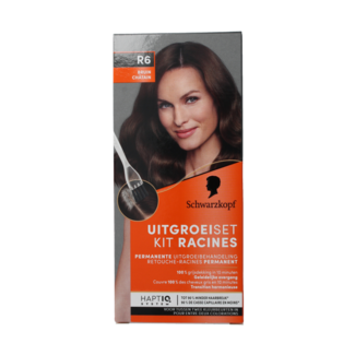 Schwarzkopf Root touch-up kit medium blonde 11 Millilitres