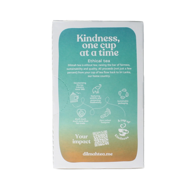 Dilmah Green tea with ginger bio 20 Zakjes