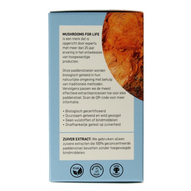 Chaga Bio 60 Kapseln