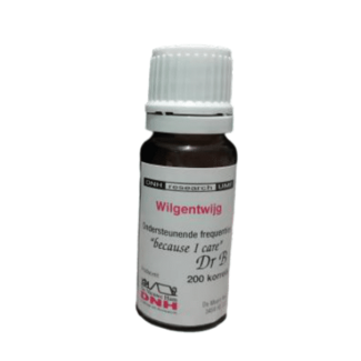 DNH DNH Weidenzweig 200 Stück