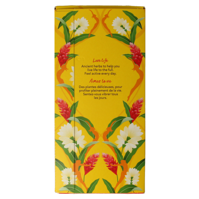 Turmeric Active Organic Tea 20 Bags