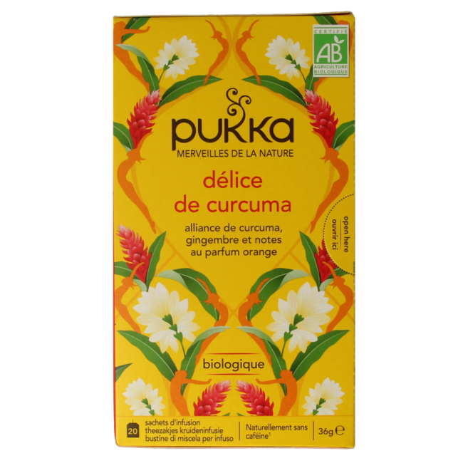 Kurkuma Active Tee Bio 20 Beutel