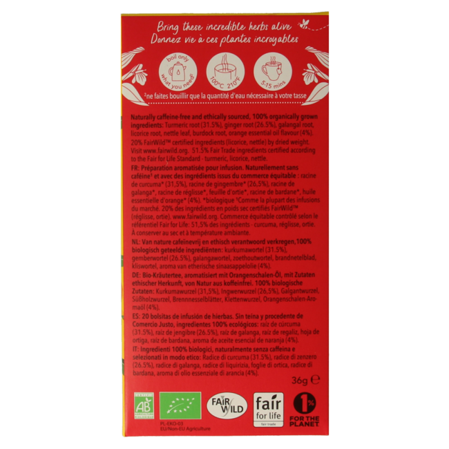 Thé Curcuma Active Bio 20 sachets