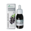 Soria Natural Ribes nigrum extract XXI 50 Milliliter