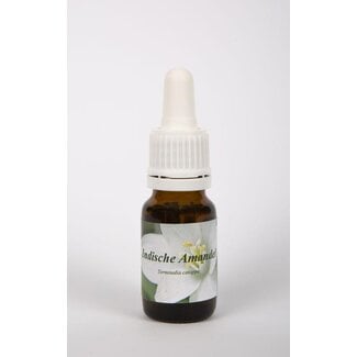 Star Remedies Star Remedies Indian Almond 10ml