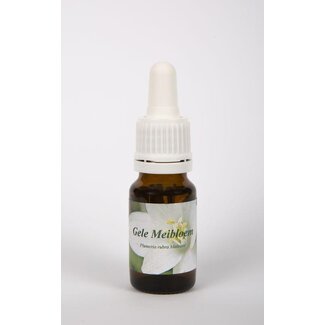 Star Remedies Star Remedies Gele meibloem 10 mililitros
