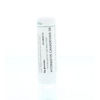 Homeoden Heel Homeoden Heel Hydrastis canadensis D6 6g