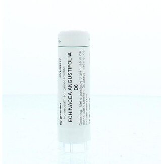 Homeoden Heel Homeoden Heel Echinacea angustifolia D6 6 Gram