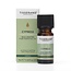 Tisserand Zypressenöl wild gesammelt 9 Milliliter