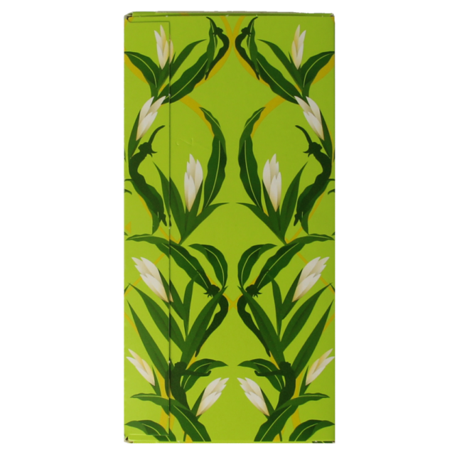 Té de hierba limón y jengibre bio 20 bolsitas