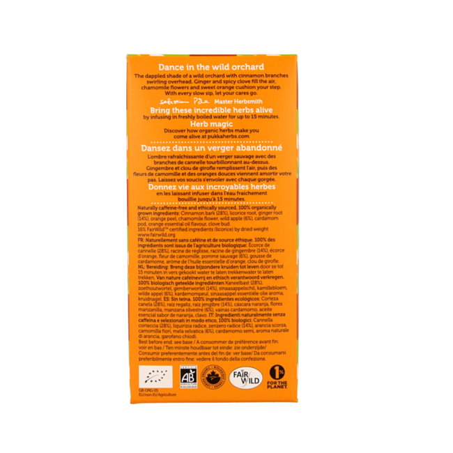 Wild Apple & Cinnamon Organic 20 Tea Bags