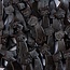 De Bron Lakritzkätzchen zuckerfrei 2400 Gramm