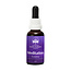 Australian Bush Meditation Essence 30 Millilitre