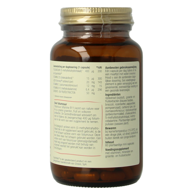 Zwanger essentials puur 60 Vegetarische capsules