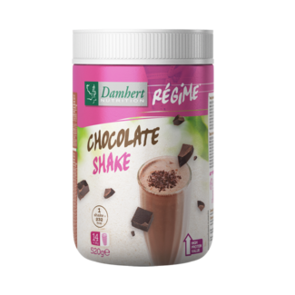 Damhert Damhert Regime batido sustitutivo de comida chocolate 520 gramos