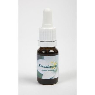 Star Remedies Star Remedies Koraalcactus 10 mililitros