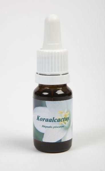 Star Remedies Koraalcactus 10 Milliliter