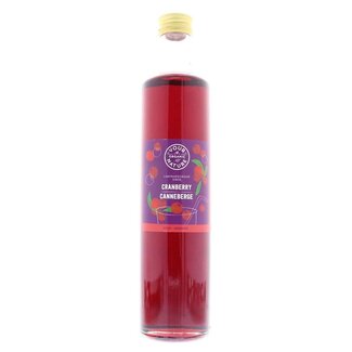 Your Organic Nature Sciroppo Biologico di Mirtillo Rosso Your Organic Nature 500 Millilitri