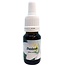 Star Remedies Bärlauch 10 Milliliter