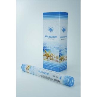 Green Tree Sea Breeze Incense - 20 Pack