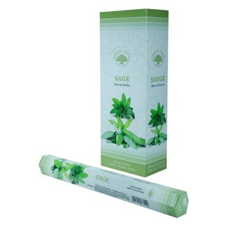 Green Tree Incenso Salvia 20 Pezzi
