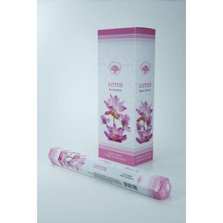 Green Tree Green Tree Lotus Incense 20 Sticks