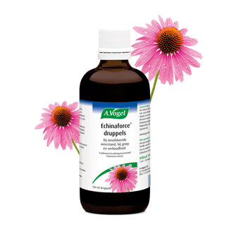 A Vogel Echinaforce drops 100 Millilitres