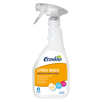Ecodoo Ecodoo Reinigungsmittel Zitrone Bio 500 Milliliter