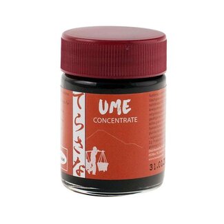 TS Import TS Import Concentrado de Ume 40 Gramos